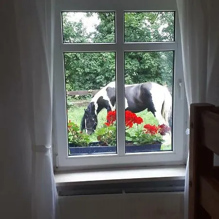 Rustikales Natur Doppelzimmer Auf Bauernhof In Alleinlage * Wittstock